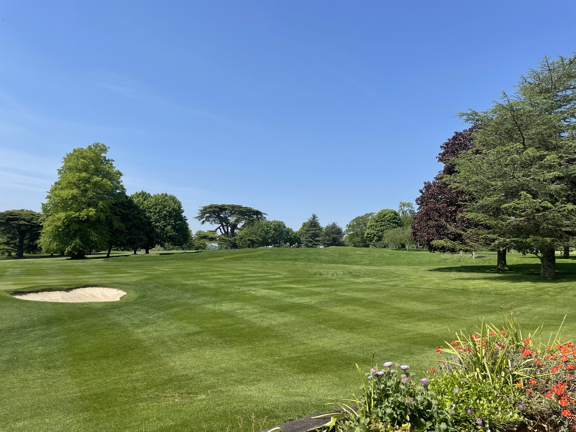 Saffron Walden Golf Club